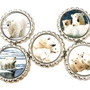 Polar Bears Magnet Set